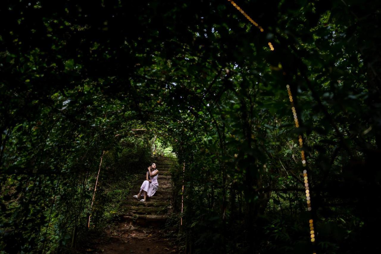 Raindrops Resorts Wayanad Sultan Bathery Exterior foto