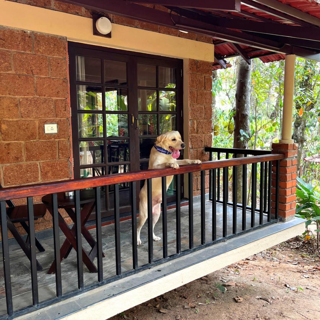 Raindrops Resorts Wayanad Sultan Bathery Exterior foto